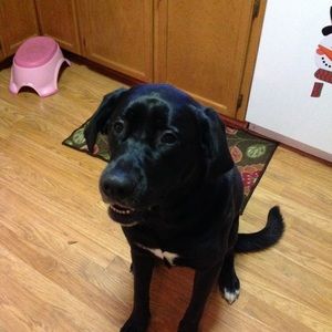 Meet your Posher, Mike